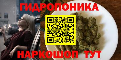 a pvp Апрелевка