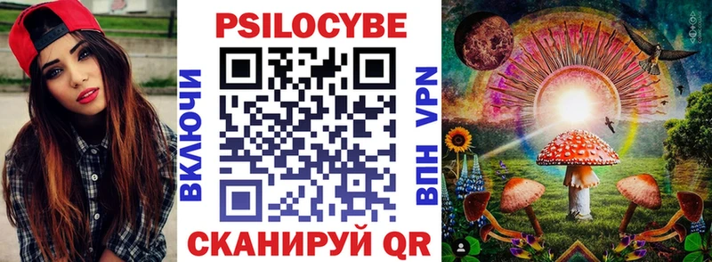 Псилоцибиновые грибы Psilocybine cubensis  Балахна 