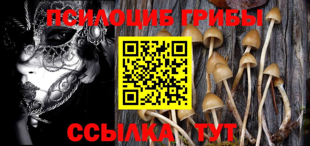 Галлюциногенные грибы Cubensis  Балахна 