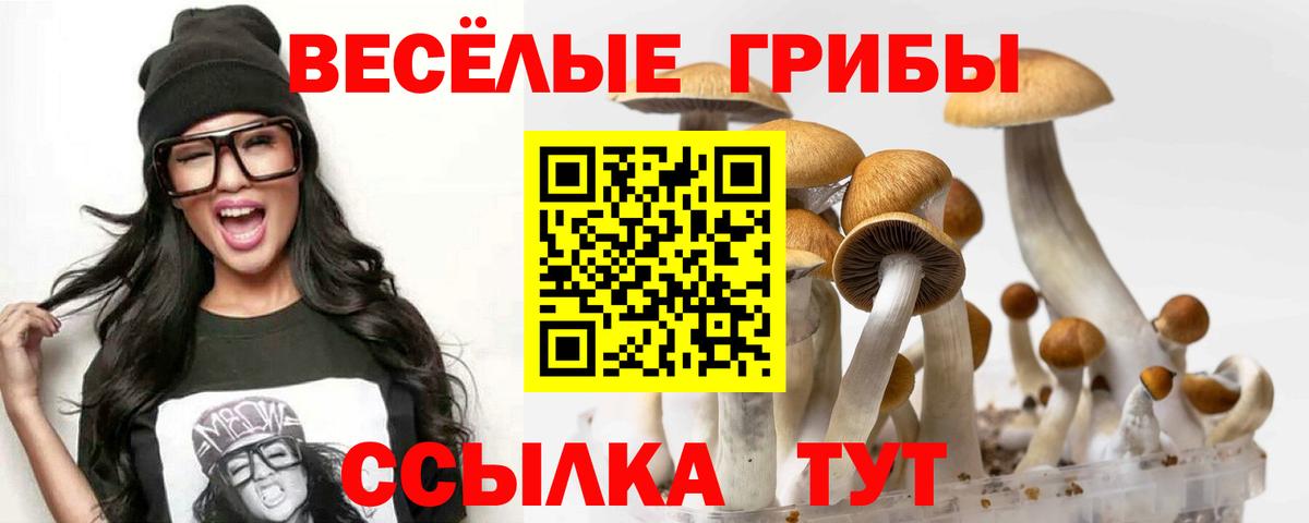 Галлюциногенные грибы MAGIC MUSHROOMS Балахна