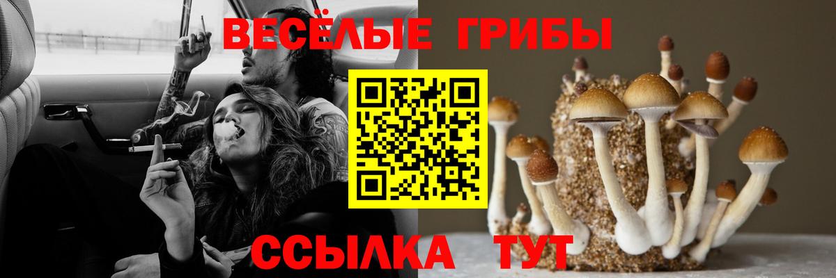 Псилоцибиновые грибы мицелий  Вход с VPN  Балахна  Галлюциногенные грибы мицелий 