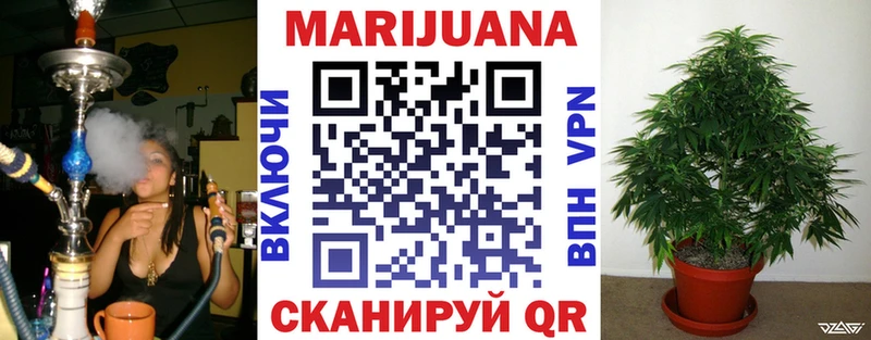 Шишки марихуана SATIVA & INDICA  дарк нет официальный сайт  Балахна 